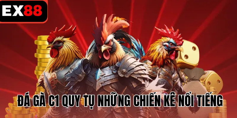 Đá gà C1 quy tụ những chiến kê nổi tiếng
