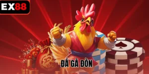 đá gà đòn