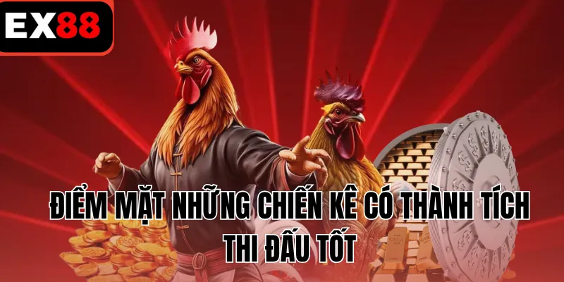 Điểm mặt những chiến kê có thành tích thi đấu tốt